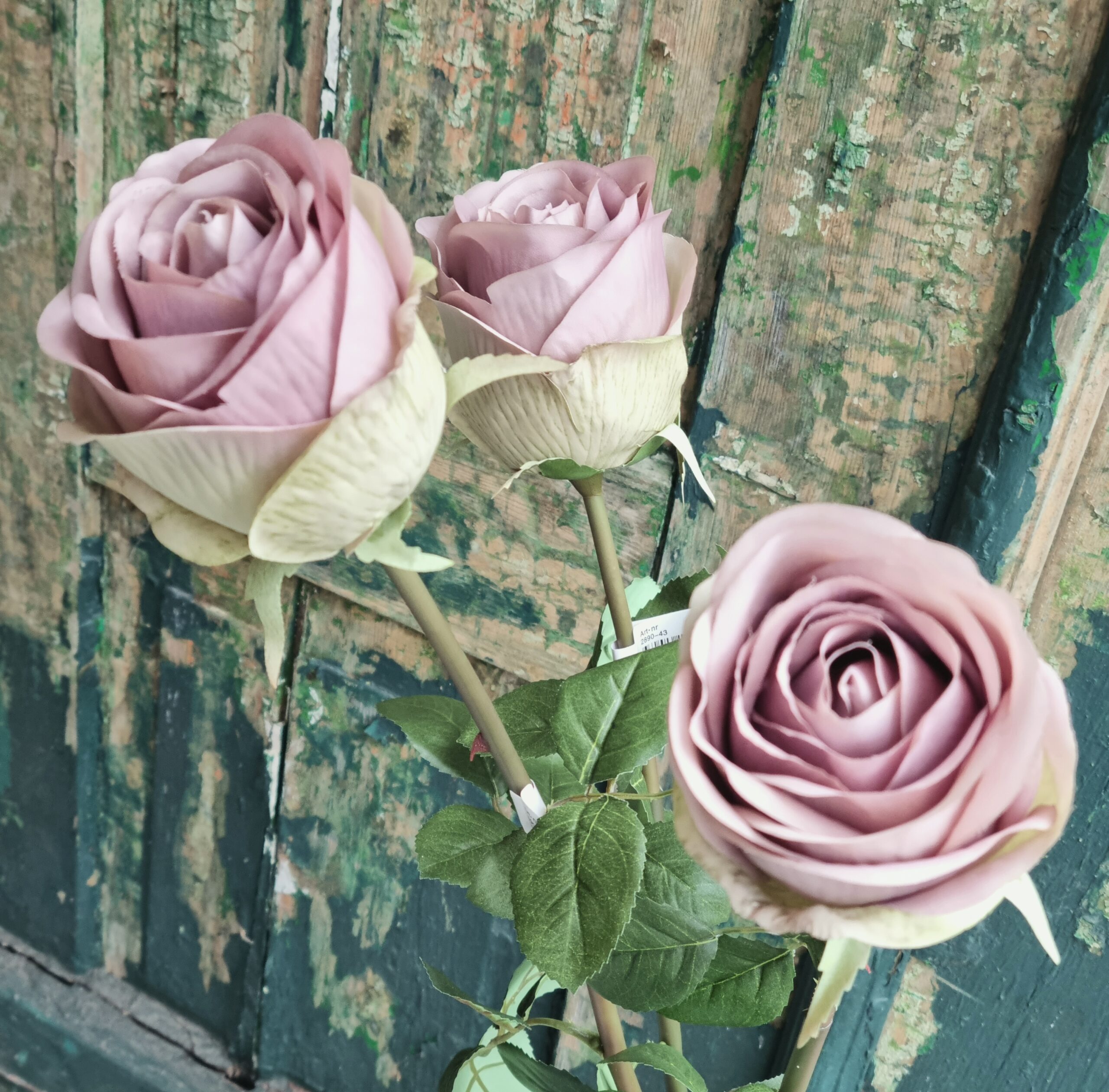 Smuk gammelrosa rose 75 cm - meget elegant