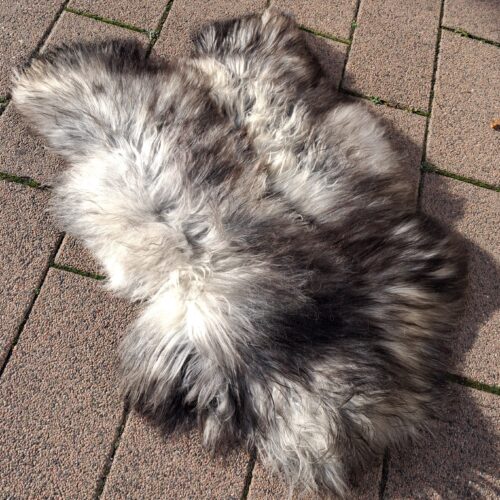 Meleret langhåret lammeskind – lækkert stort