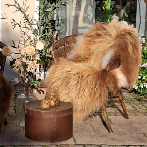 Meleret langhåret lammeskind – lækkert stort