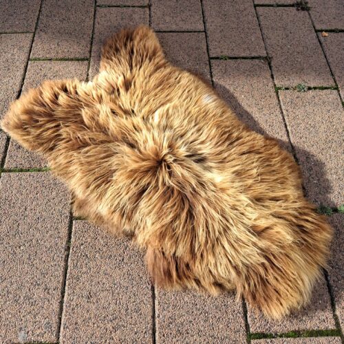 Meleret langhåret lammeskind – lækkert stort