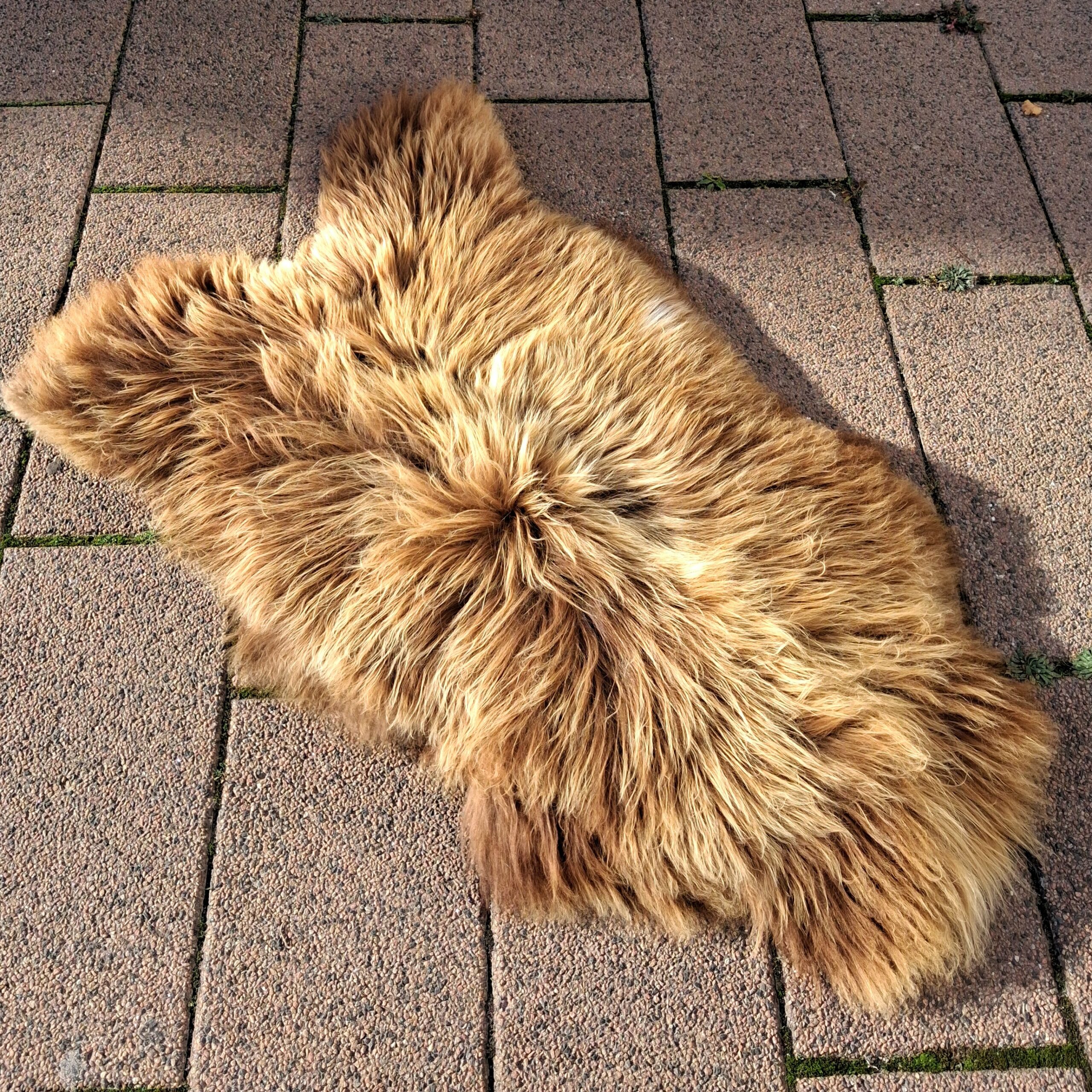 Meleret langhåret lammeskind - flot stort