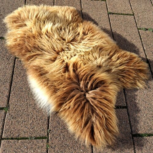 Meleret langhåret lammeskind – lækkert stort