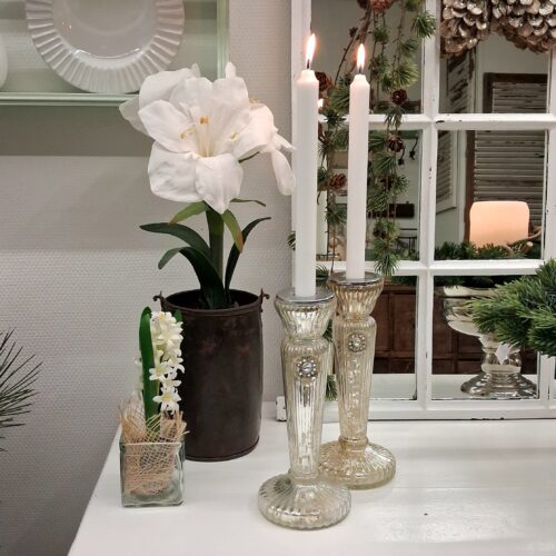 Flot hvid Amaryllis i potte med stort blomster hoved