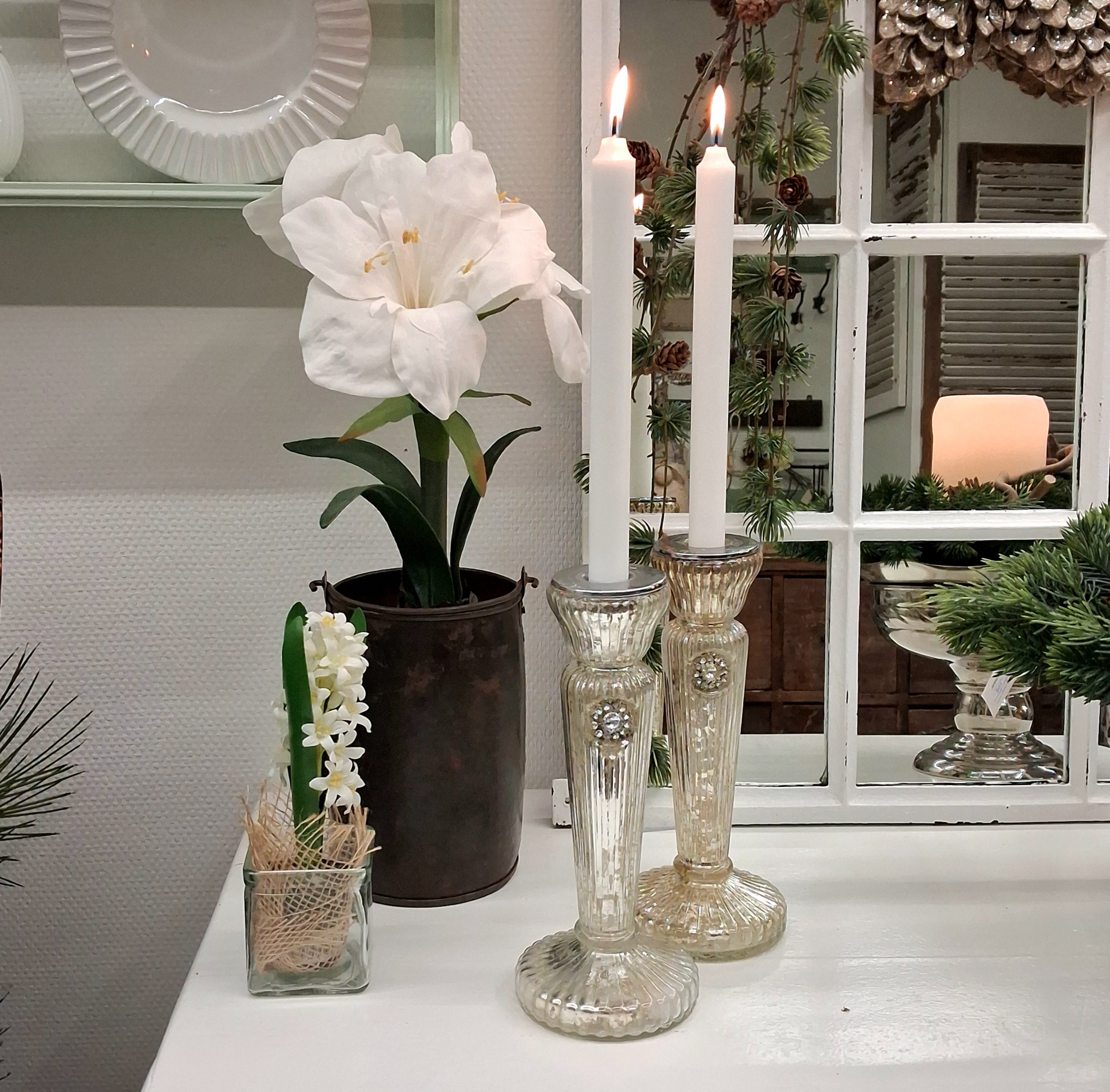 Flot hvid Amaryllis i potte