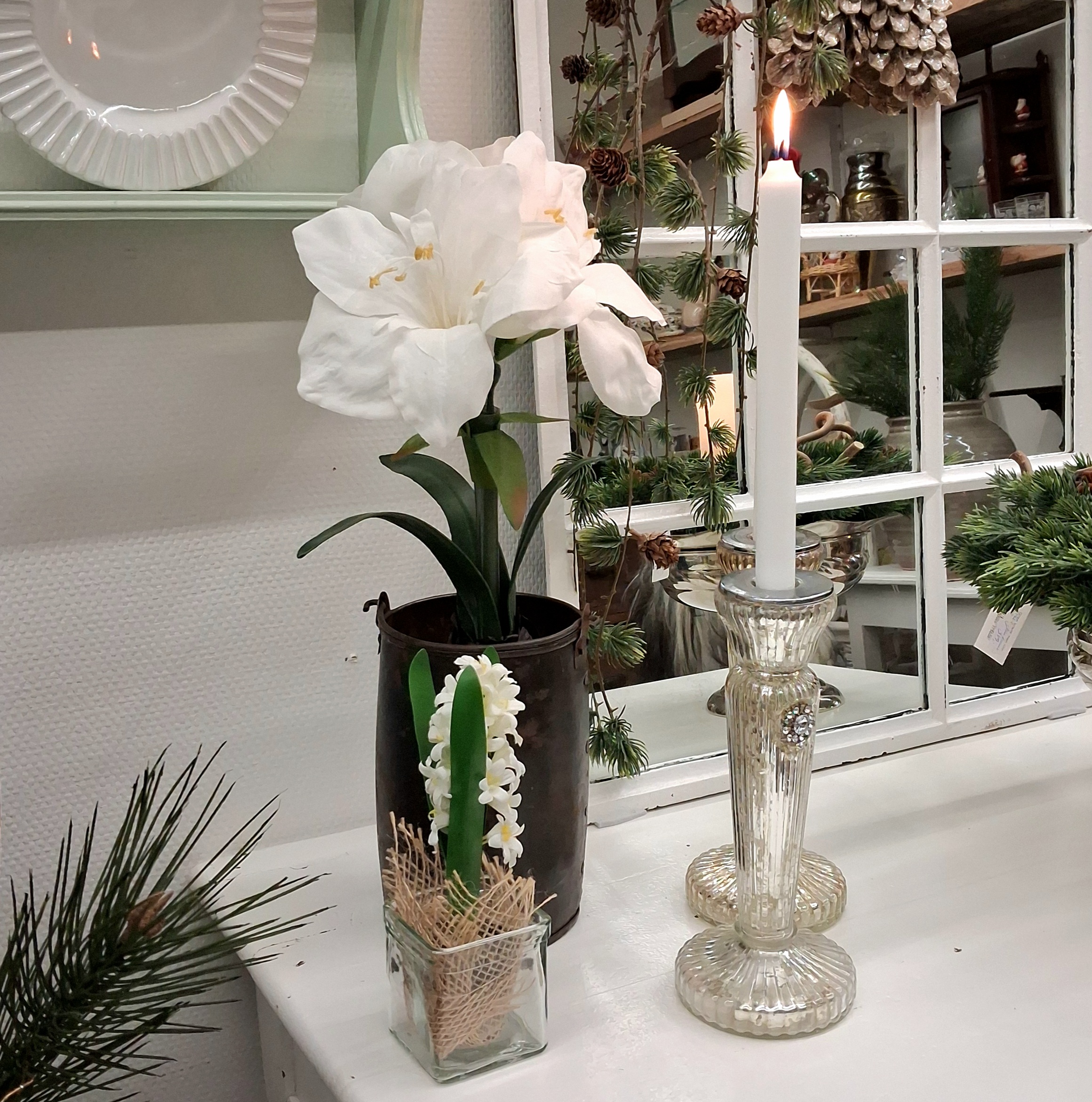 Flotte hvide vinterblomster i potte....