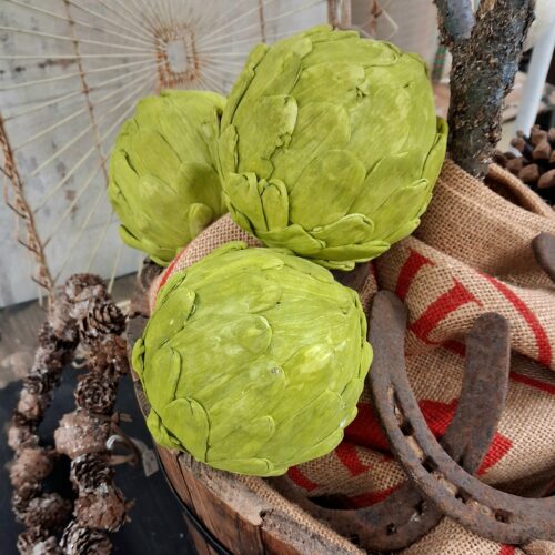 Fin grøn Artiskok til dekoration