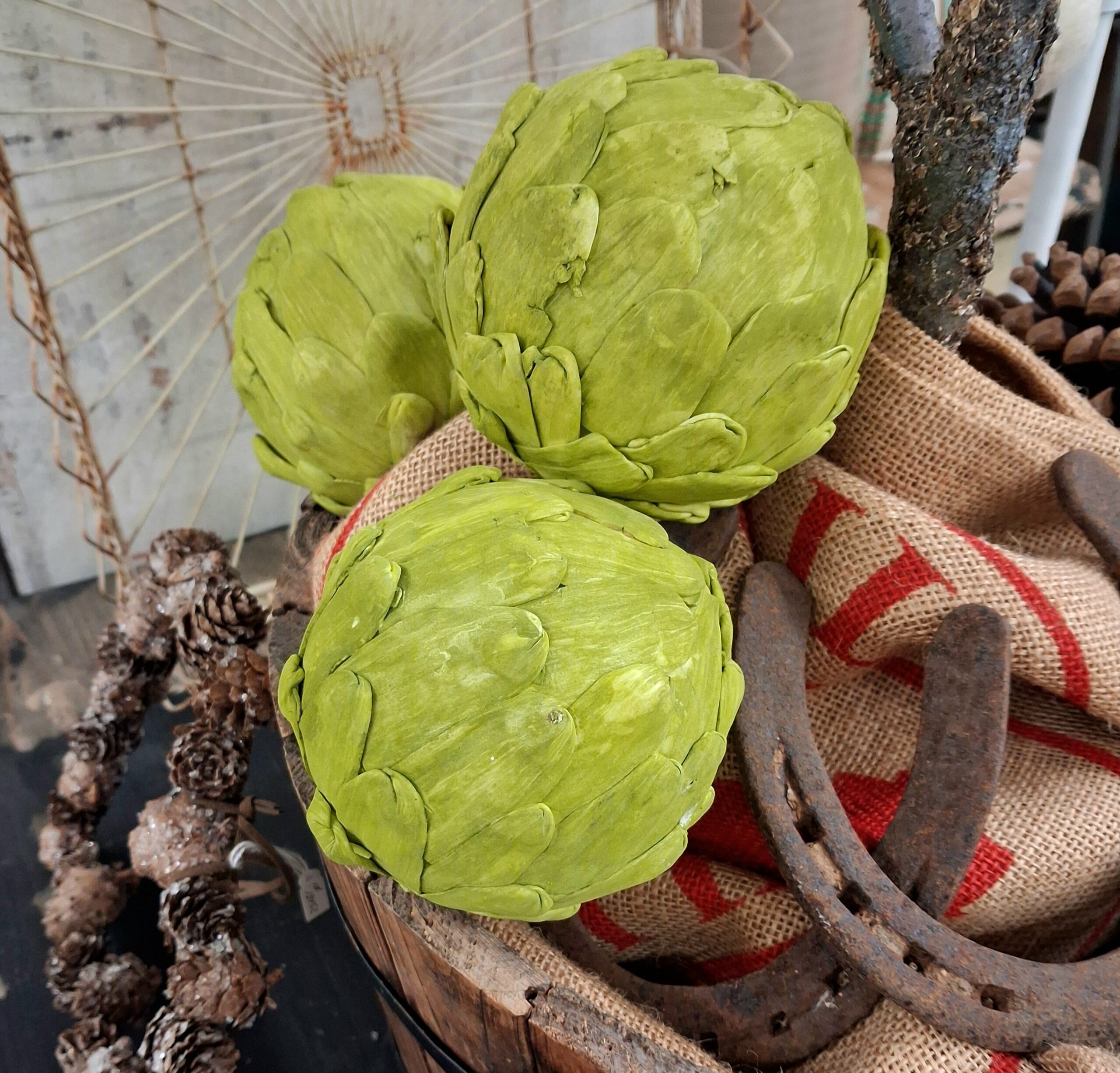 Fin grøn Artiskok til dekoration