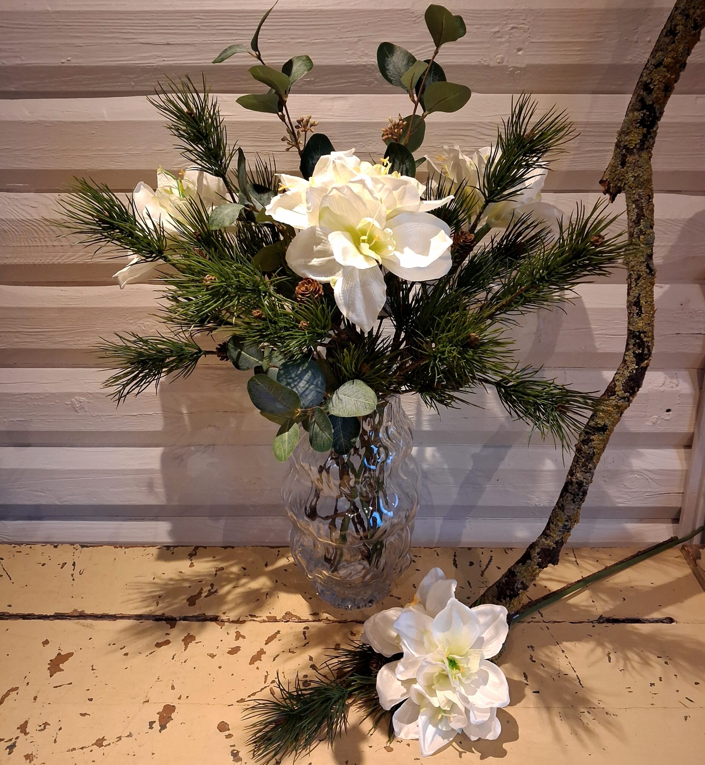 Flot hvid Amaryllis stilk