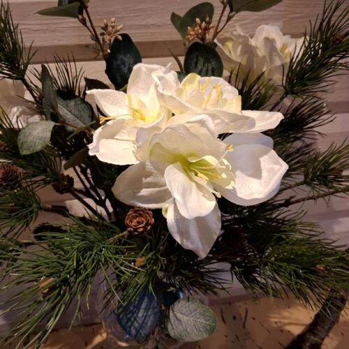 Flot hvid Amaryllis stilk med stort fyldigt blomsterhoved