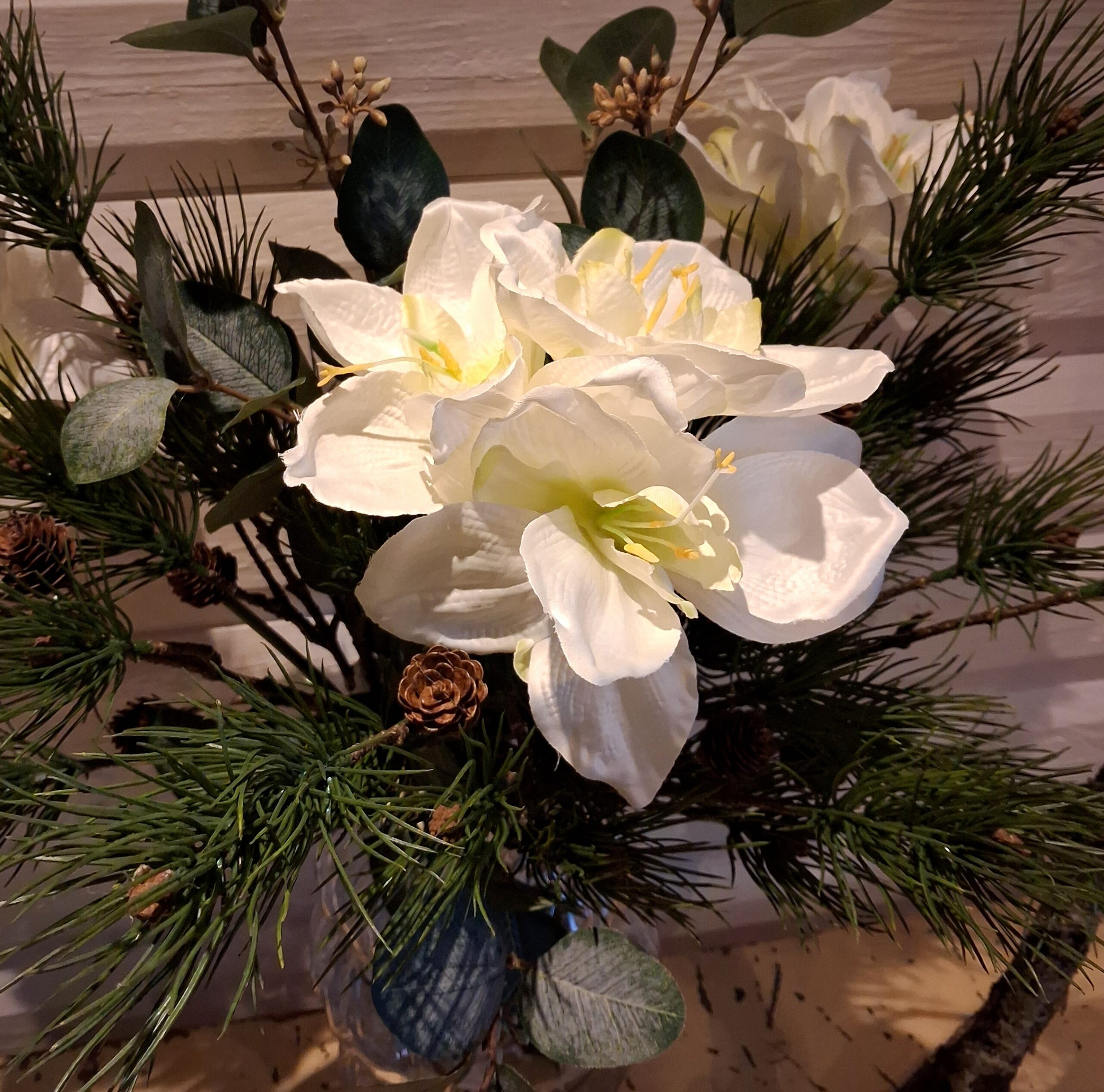 Flot hvid Amaryllis stilk med stort flot blomsterhoved