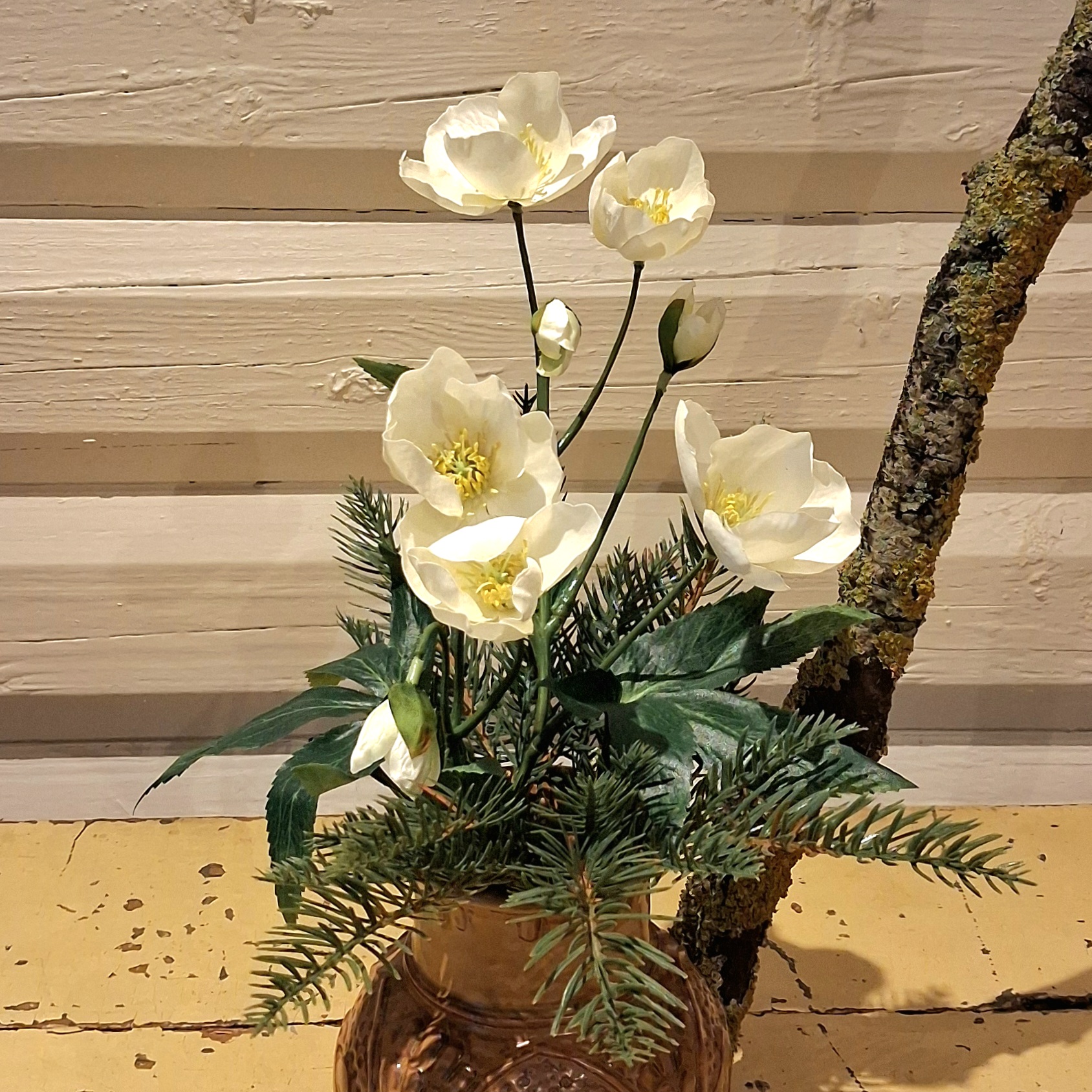 Smuk hvid Vinterrose - flot flergrenet og fyldig - Billede 3