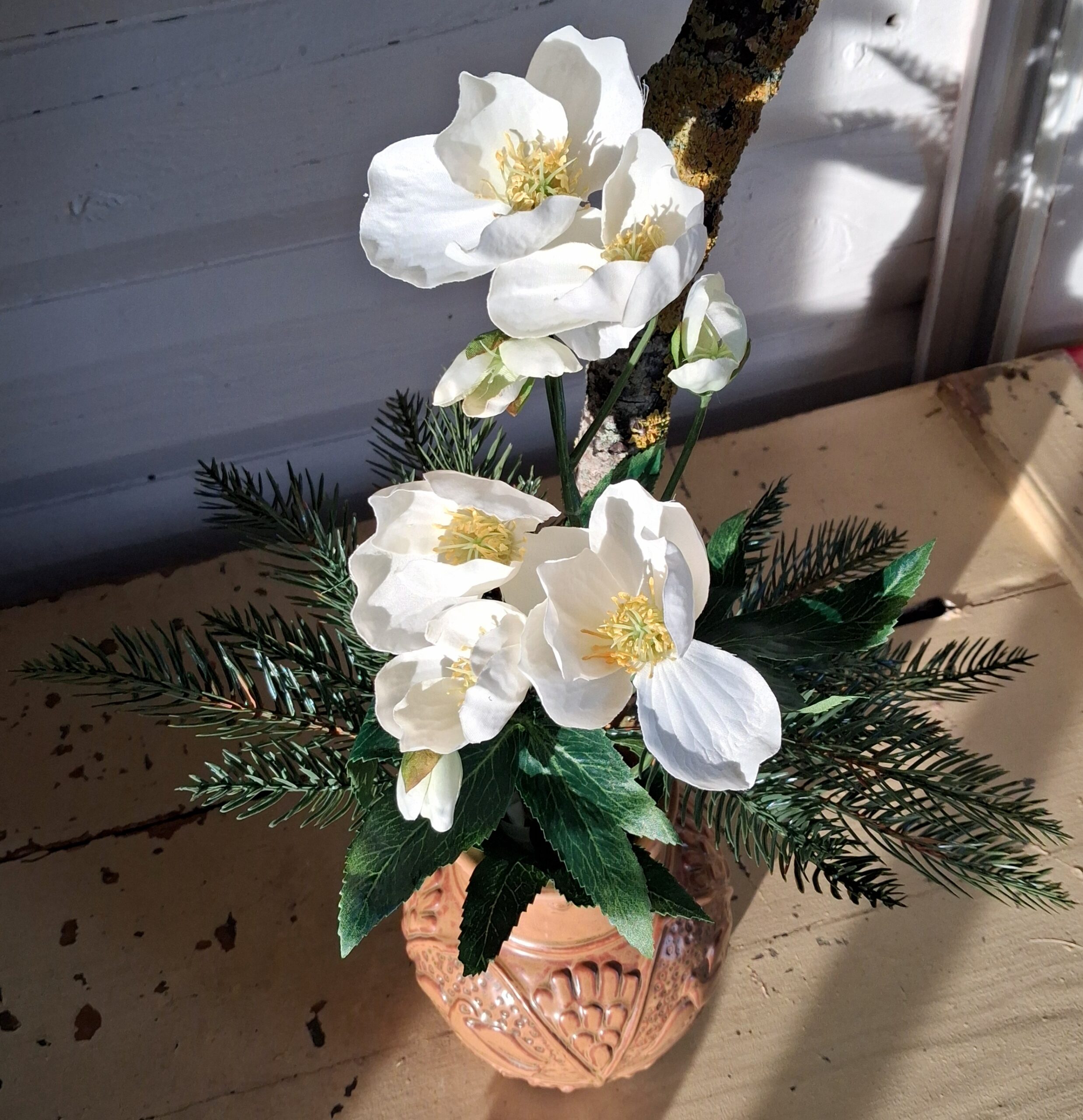 Smuk hvid Vinterrose