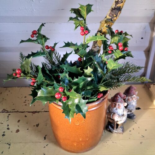 Kristtorn gren med røde bær – flot og fyldig