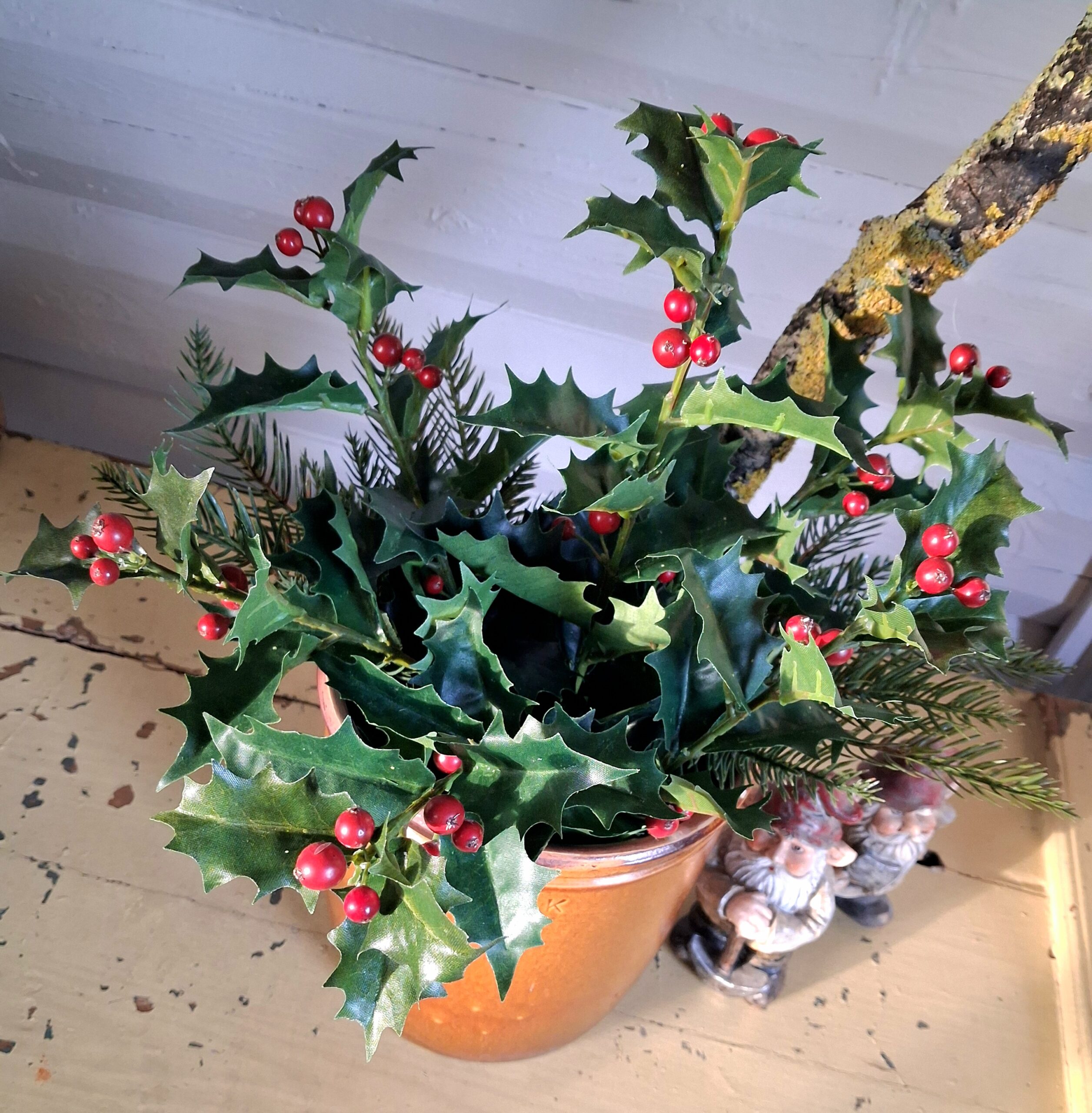 Kristtorn gren med røde bær