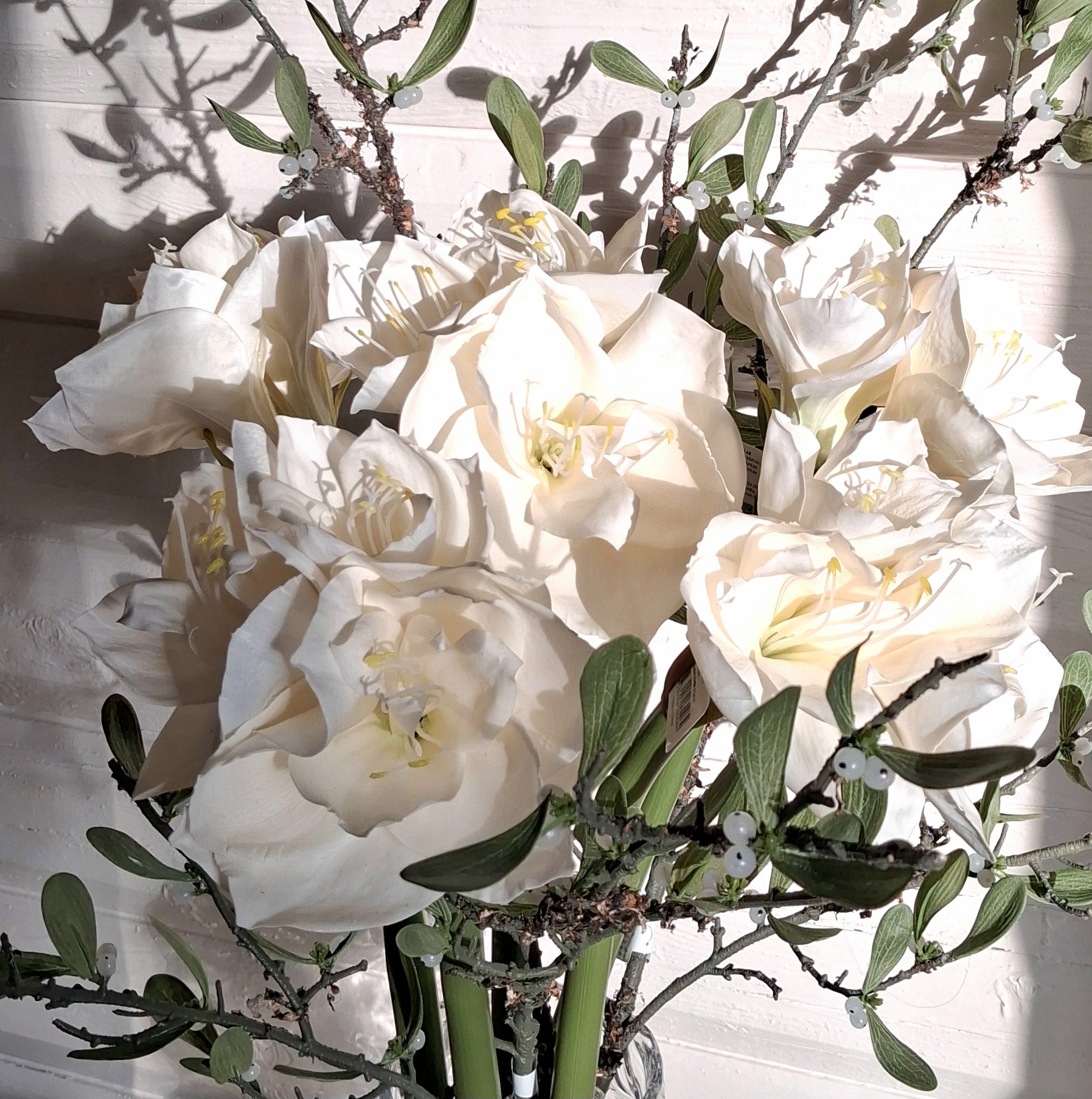 Amaryllis Real Touch hvid med store flotte hoveder