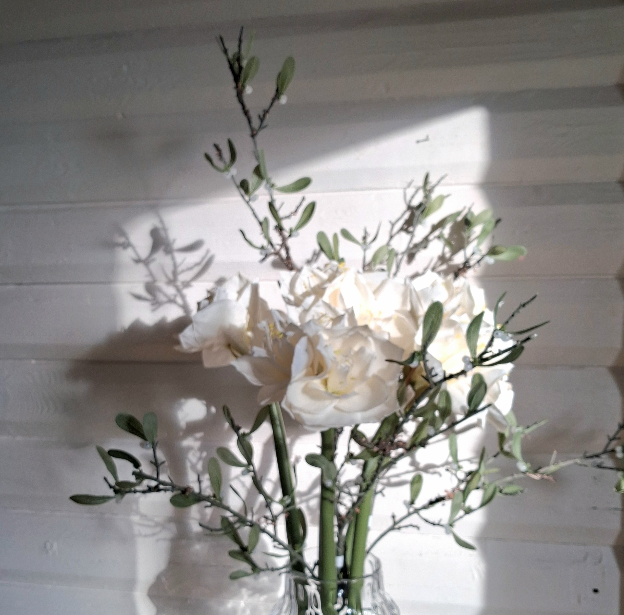 Smukke hvide Amaryllis i Real Touch serien