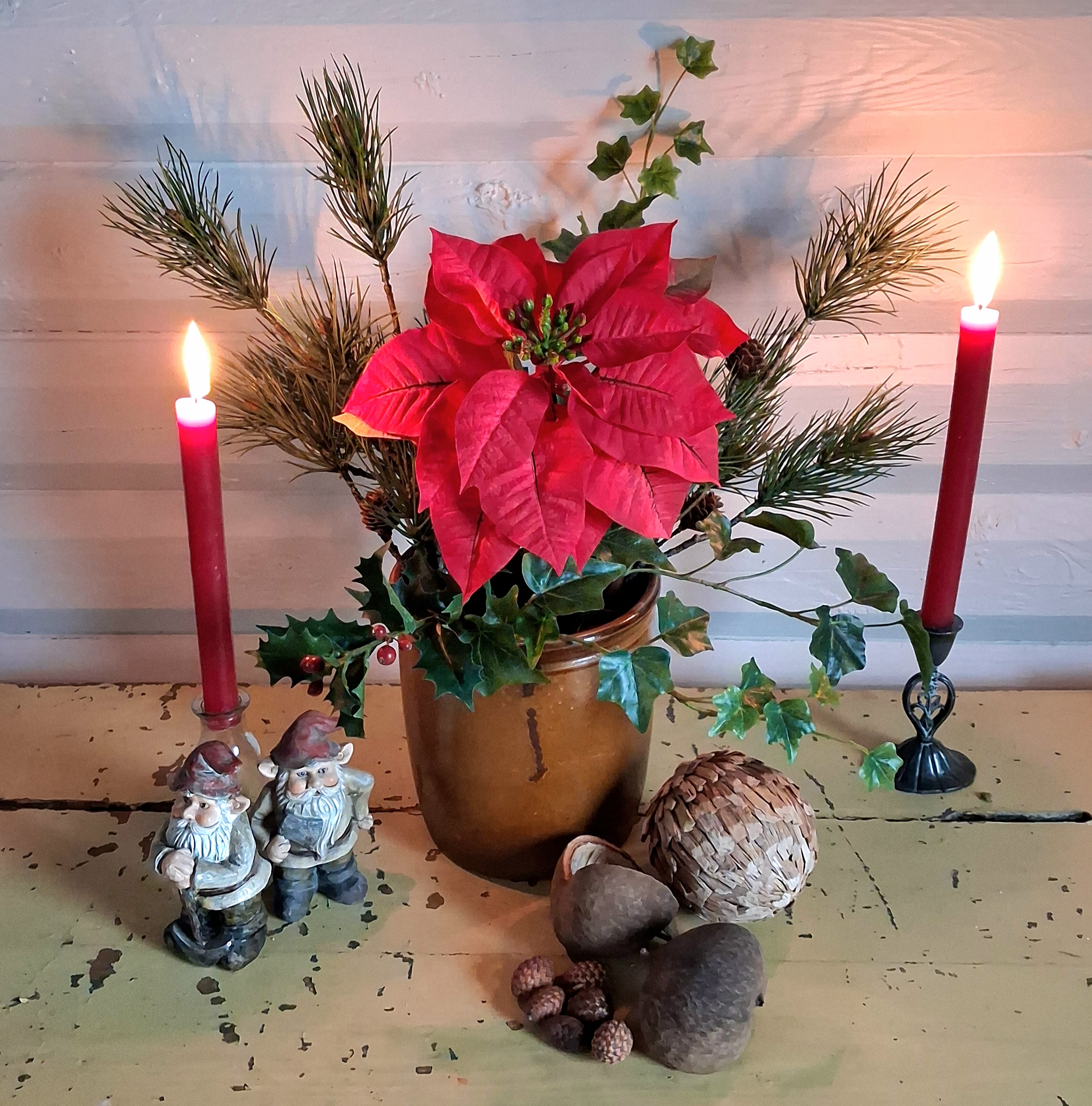 Stor skøn rød Julestjerne stilk