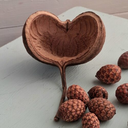 Store Buddha Nuts med stilk til dekoration