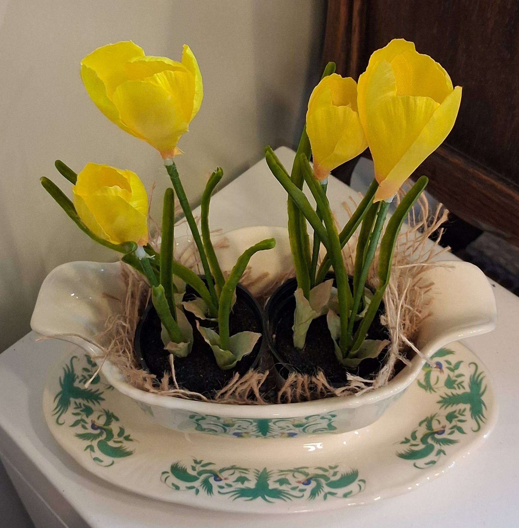 Krokus gul i potte