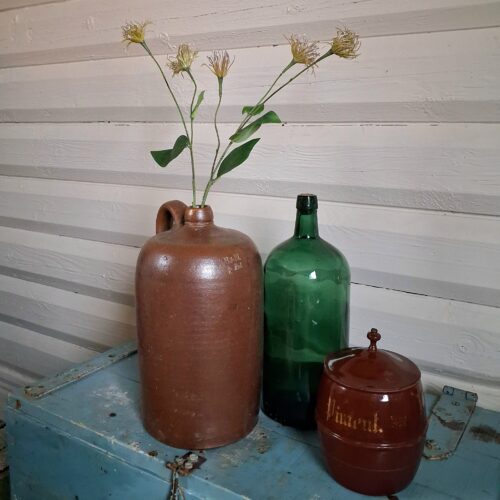 Flot rustik Clematis gren – fin og busket