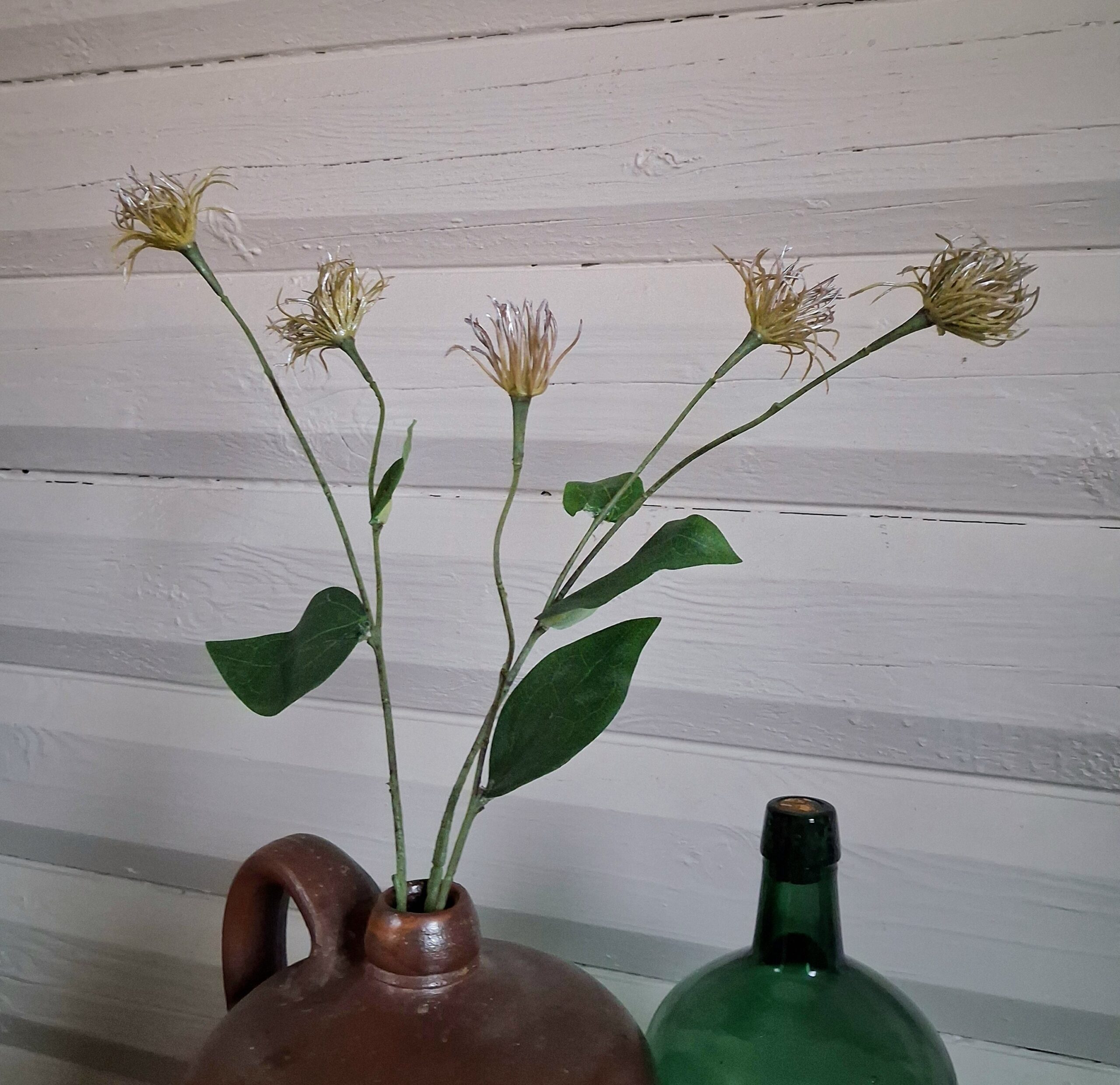 Flot rustik Clematis gren - fin og busket
