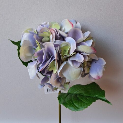 Hortensia pastel lilla – stort flot blomster hoved