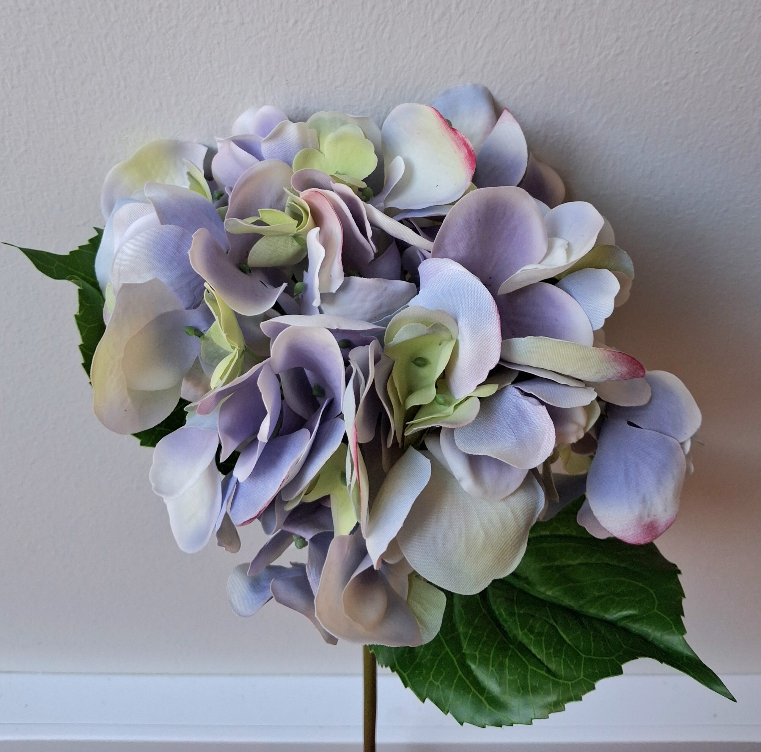 Hortenais pastel lilla