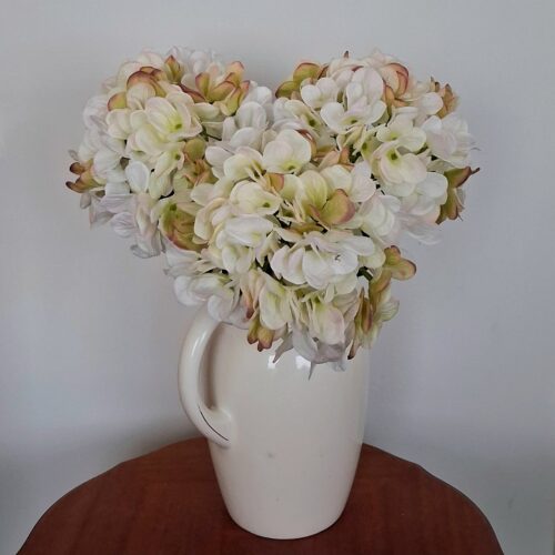 Hortensia rustik råhvid – stort flot blomster hoved