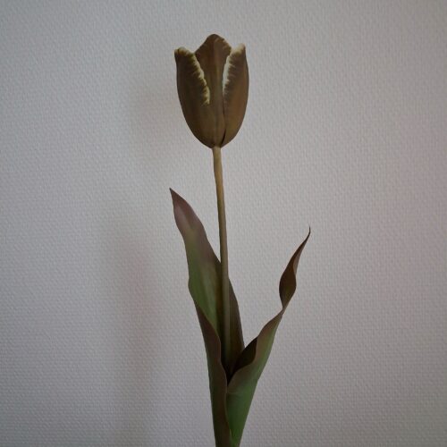 Tulipan Real Touch brun med fine blade