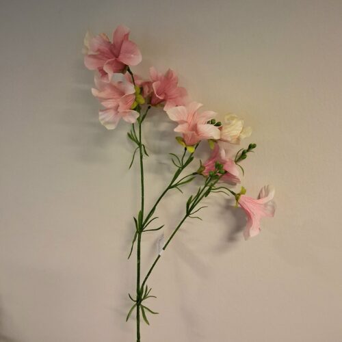 Petunia rosa stilke – meget romantiske