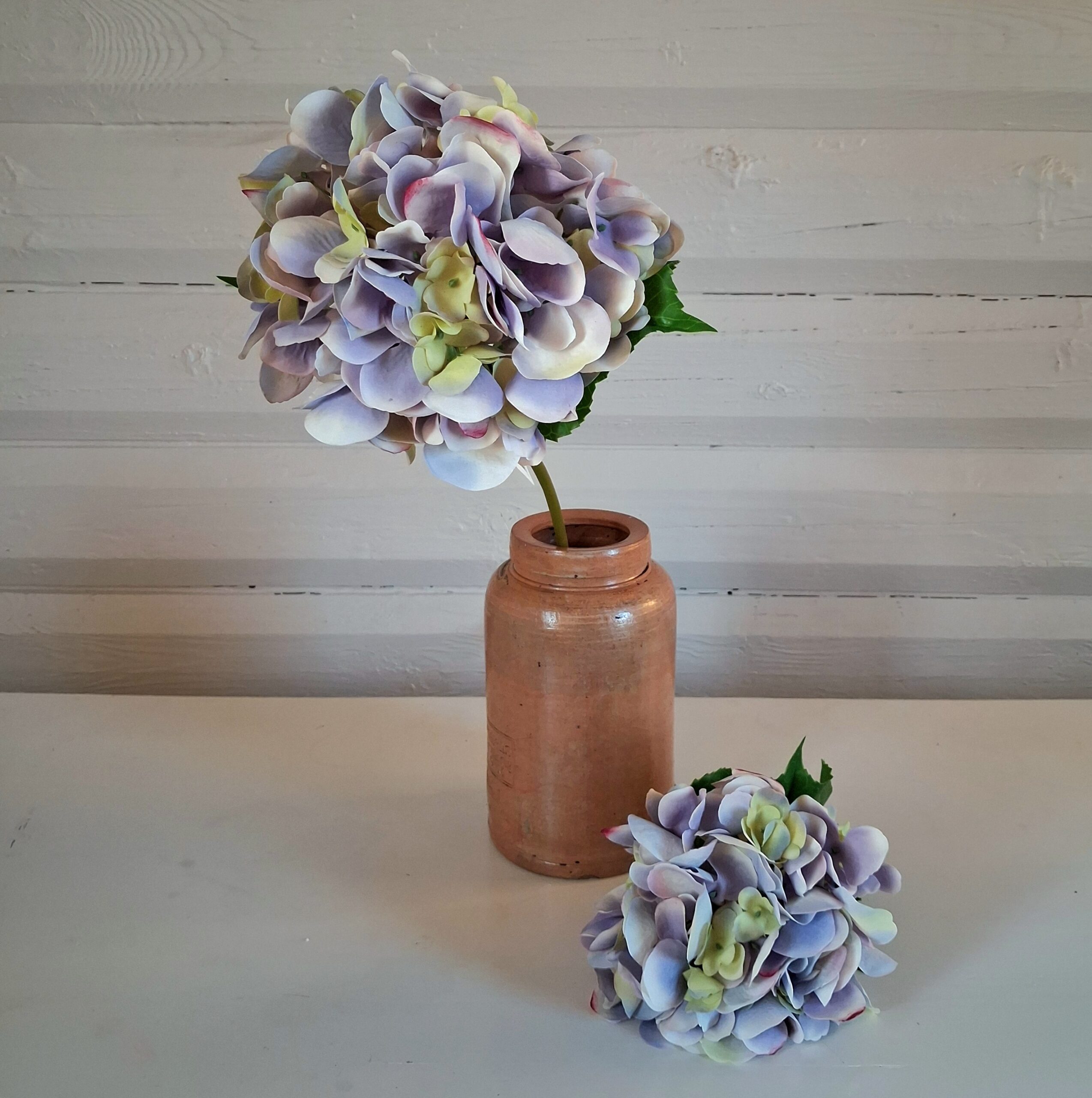 Hortensia pastel lilla