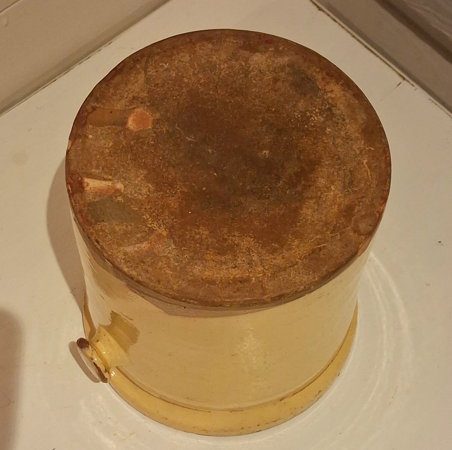 Smuk gul fransk olivenkurkke