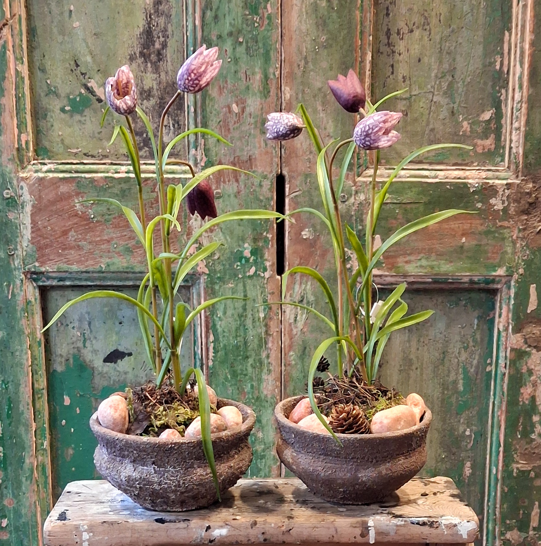 Smukke Vibeæg på mosknold