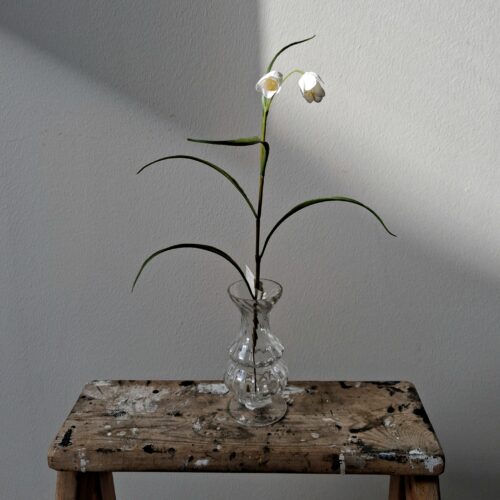 Søde hvide Vibeæg – fine naturtro stilke