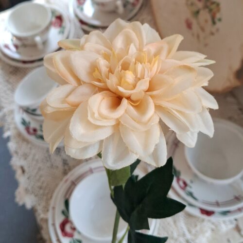 Zinnia fin creme – flot blomsterstilk