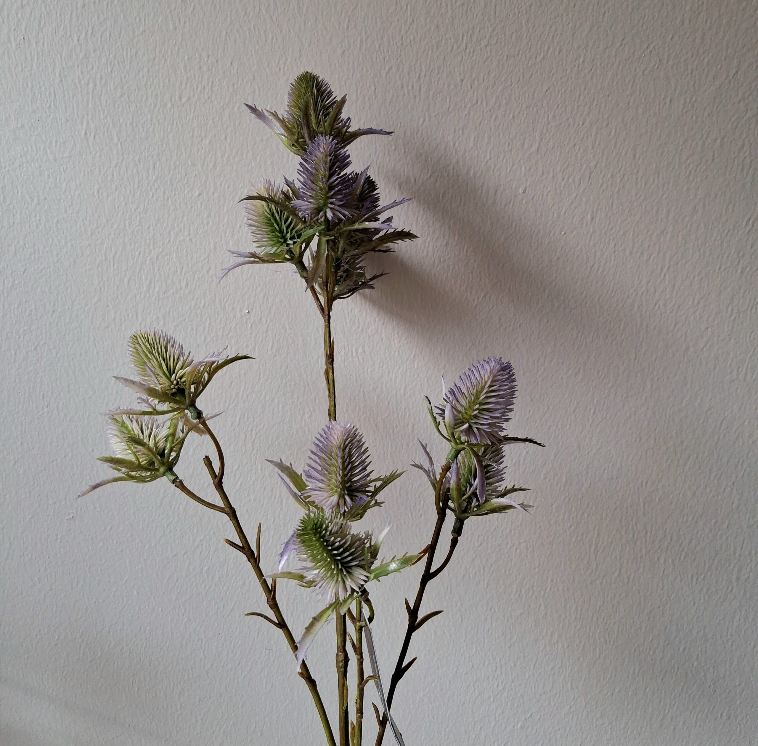 Smuk rustik tidsel - grøn/lilla