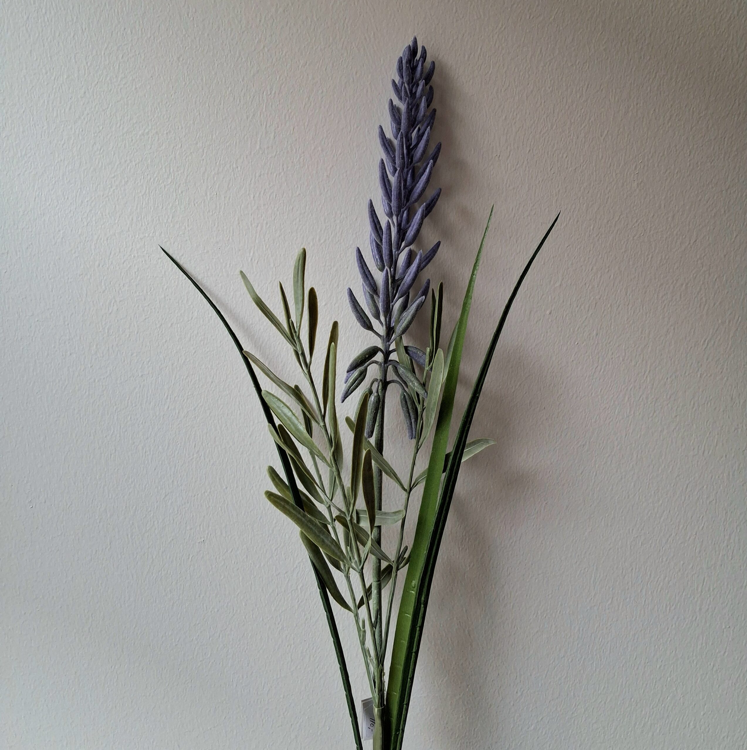Smuk lilla Lupin med langt blomster hoved