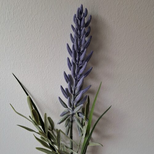 Smuk lilla Lupin med langt blomster hoved – meget elegant