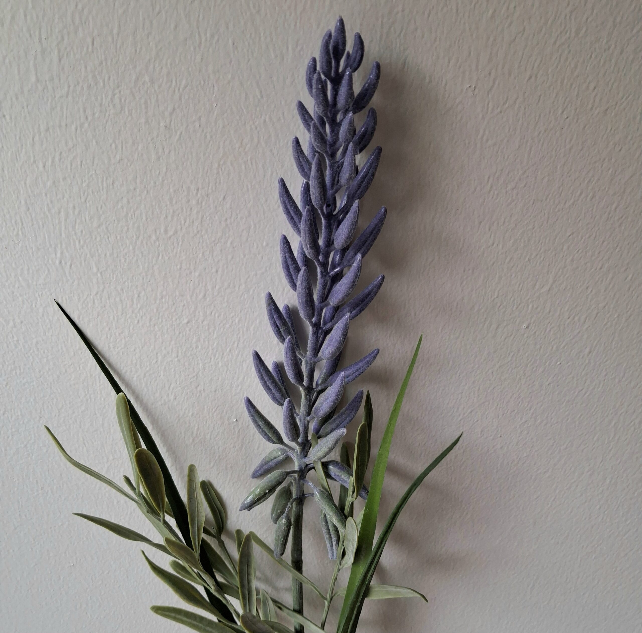 Smuk lilla Lupin med langt blomster hoved - meget elegant