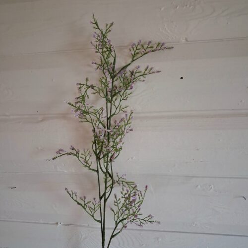 Brudeslør stor lys lilla gren – flot og fyldig Limonium