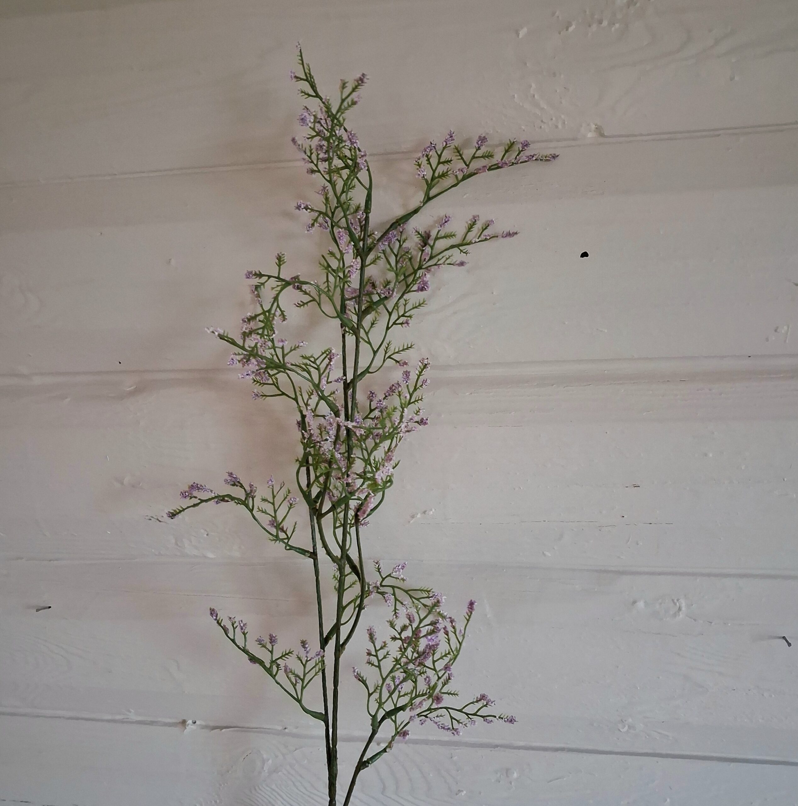 Brudeslør stor lys lilla gren