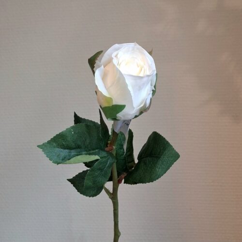 Roser hvide langstilkede 50 cm – flotte naturtro