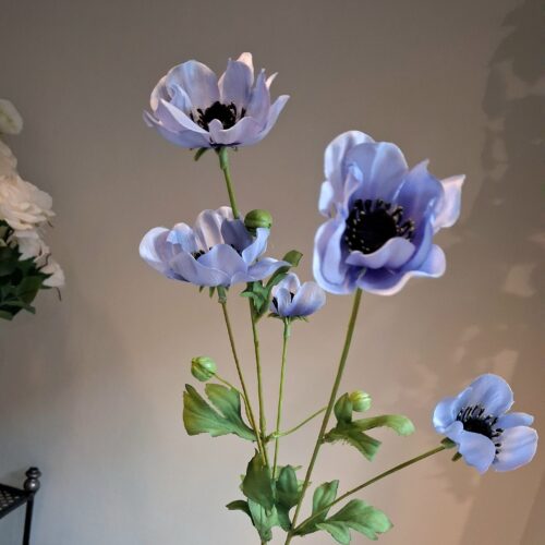 Anemone lys lilla stor flergrenet