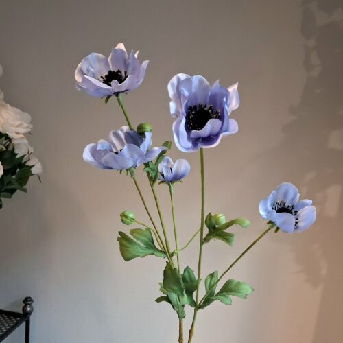 Anemone lys lilla stor flergrenet