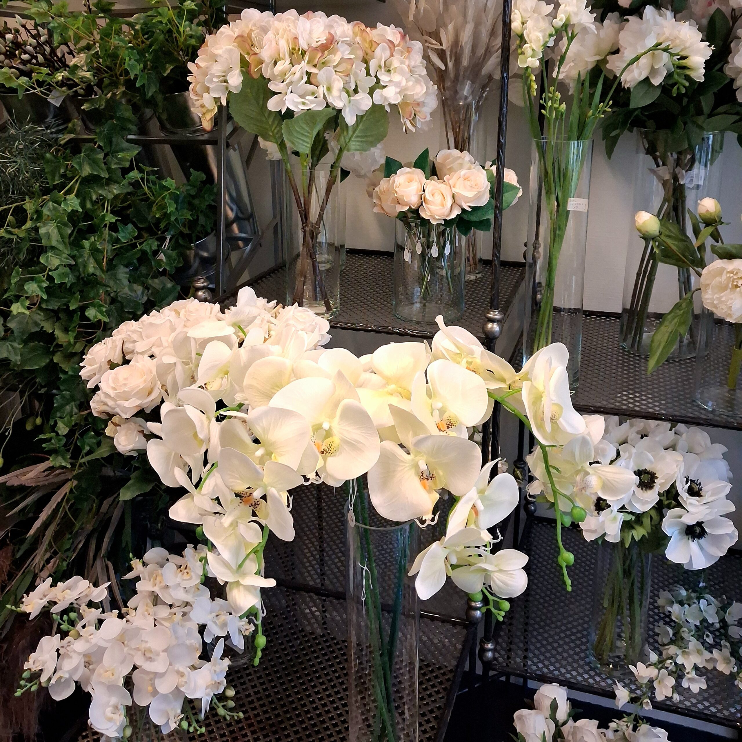 Smukke hvide Orkide stilke