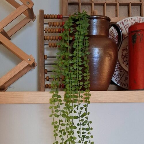 Bladranke stilk med lette lange grene