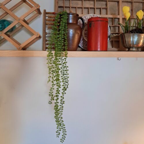 Bladranke stilk med lette lange grene