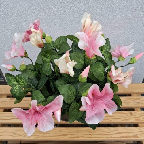 Flot lyserød Petunia i potte – virkelig dekorativ