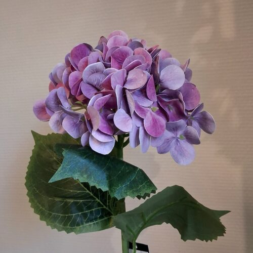 Hortensia rosa/lilla stilk – stort flot blomster hoved
