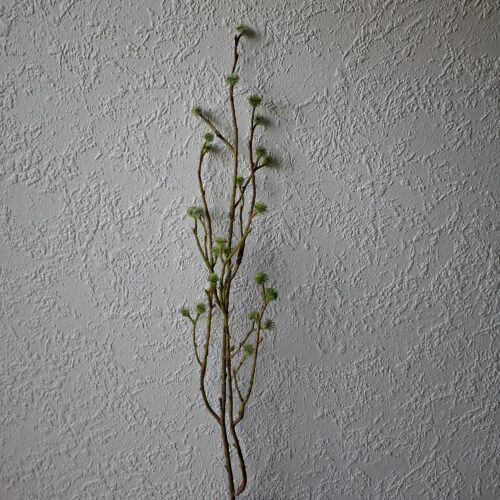 Mandstro grøn forårs gren – fin og enkel 75 cm